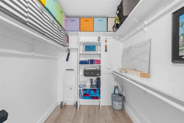 walk in closet featuring light wood-type flooring