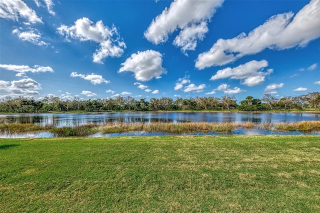 property view of water