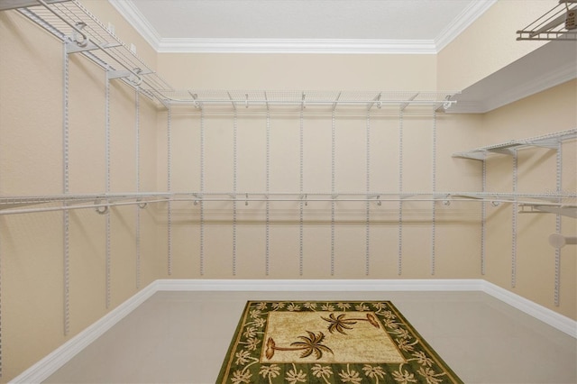 view of walk in closet