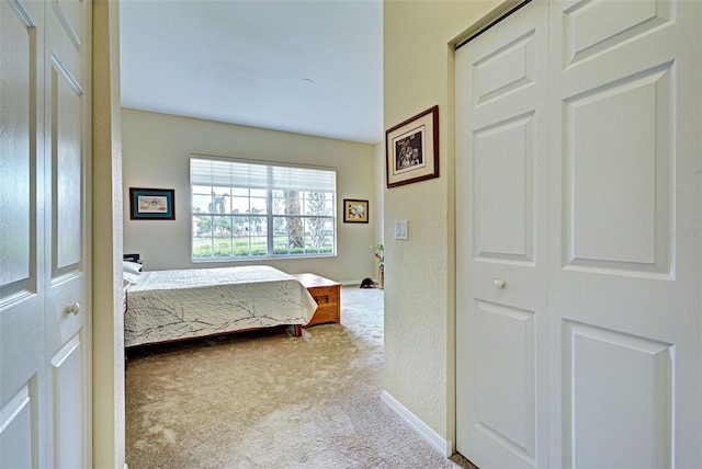 carpeted bedroom with a closet