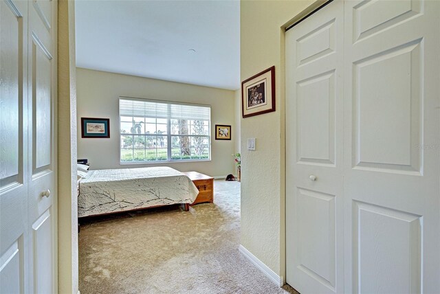 1704 Triano Cir Unit 1704, Venice, FL 34292 - carpeted bedroom with baseboards and a textured wall