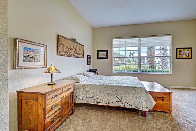1704 Triano Cir Unit 1704, Venice, FL 34292 - bedroom with carpet floors and baseboards
