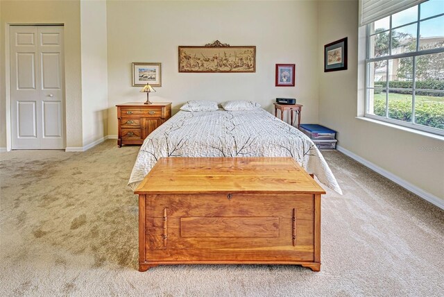 1704 Triano Cir Unit 1704, Venice, FL 34292 - carpeted bedroom with baseboards