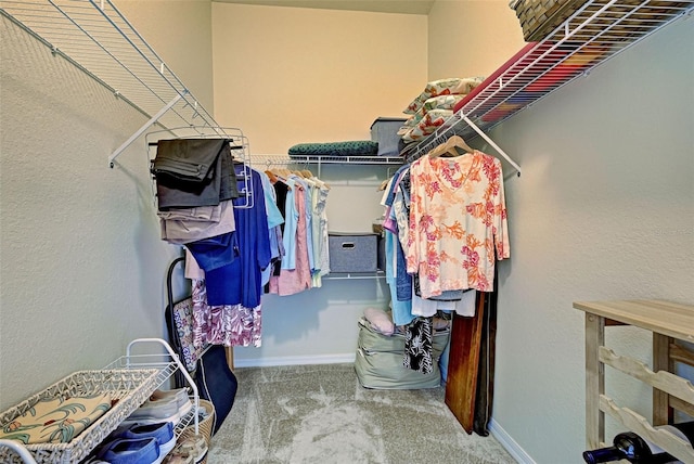 spacious closet with carpet