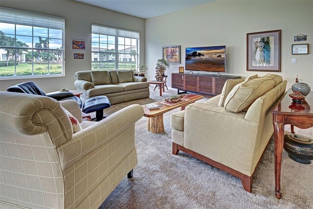 1704 Triano Cir Unit 1704, Venice, FL 34292 - living room with carpet