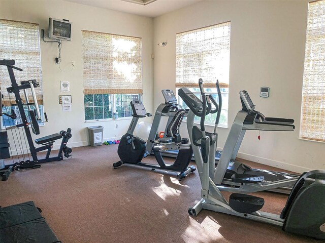 1704 Triano Cir Unit 1704, Venice, FL 34292 - workout area featuring baseboards and carpet flooring