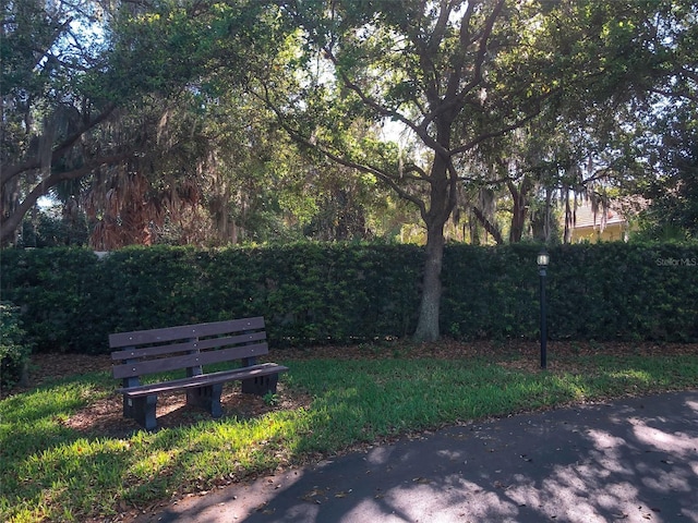1704 Triano Cir Unit 1704, Venice, FL 34292 - view of yard with fence