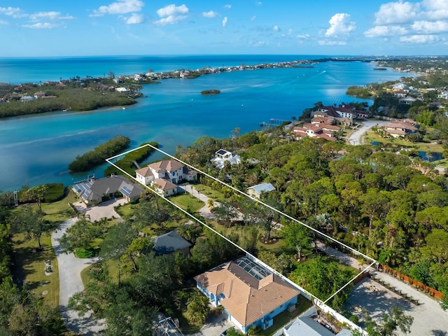 aerial view with a water view