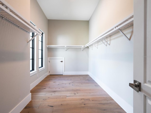 walk in closet with light wood-type flooring