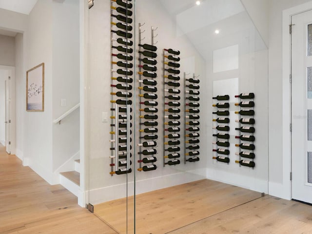 wine room with wood-type flooring