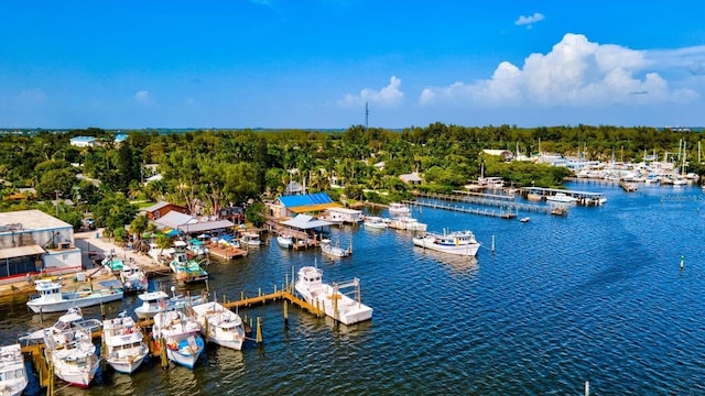 bird's eye view with a water view