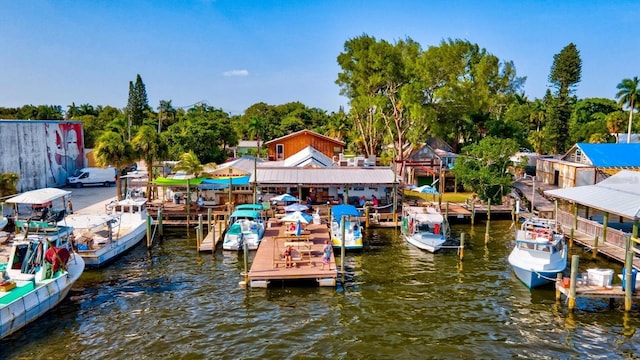 dock area with a water view