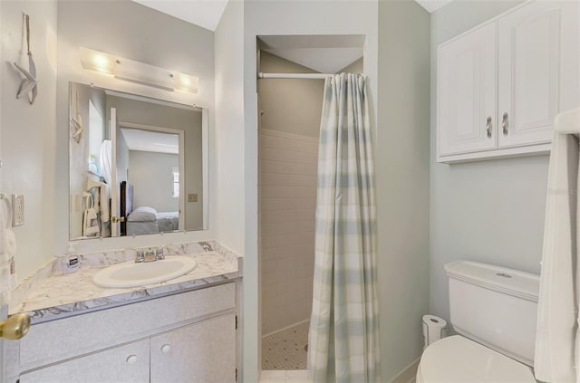 bathroom featuring vanity, toilet, and a shower with curtain