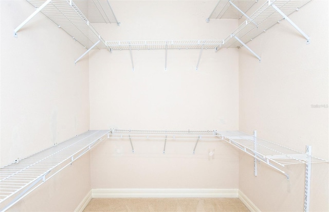 649 Crossfield Cir Unit 10, Venice, FL 34293 - walk in closet featuring light carpet