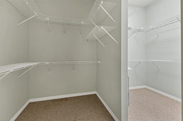 walk in closet featuring carpet