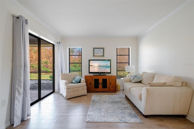 living room featuring ornamental molding and light hardwood / wood-style flooring