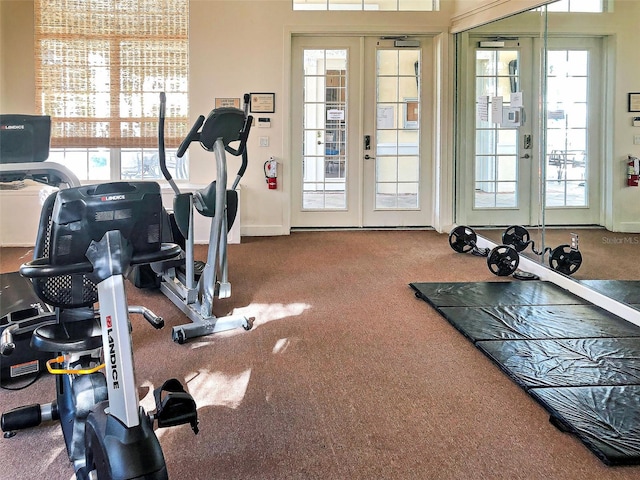 exercise room with french doors, carpet floors, and a healthy amount of sunlight