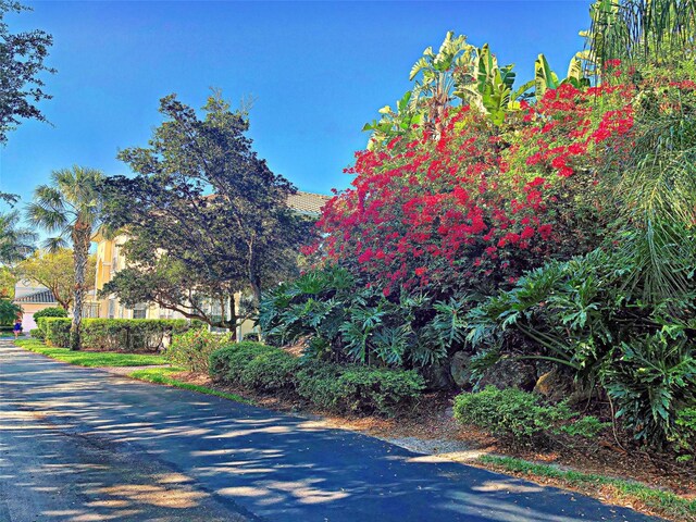 view of road