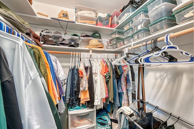 view of spacious closet