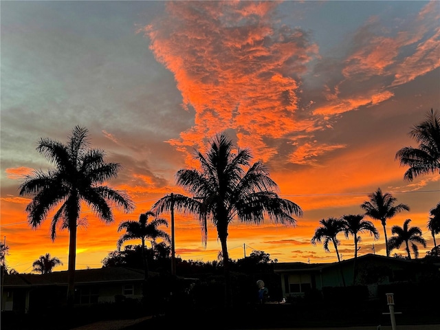 147 Tampa Ave E Unit 202, Venice, FL 34285 - view of undeveloped land