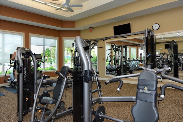 gym featuring ceiling fan and carpet floors