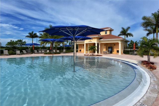 view of pool featuring a patio