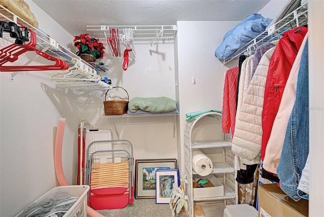 walk in closet with carpet flooring