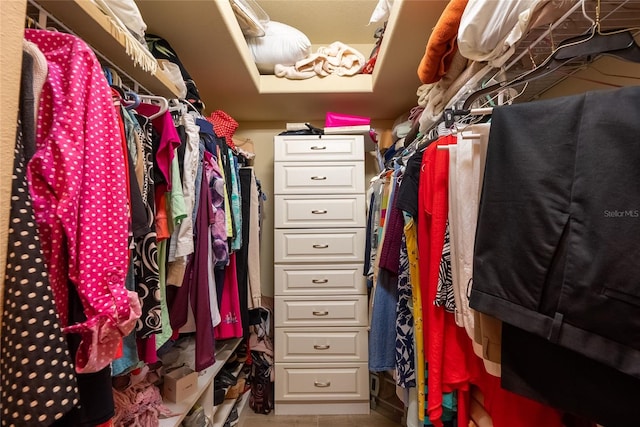 view of spacious closet