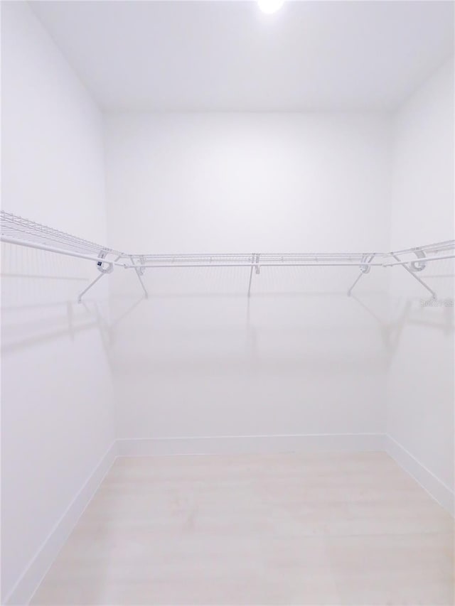 spacious closet with light wood-type flooring