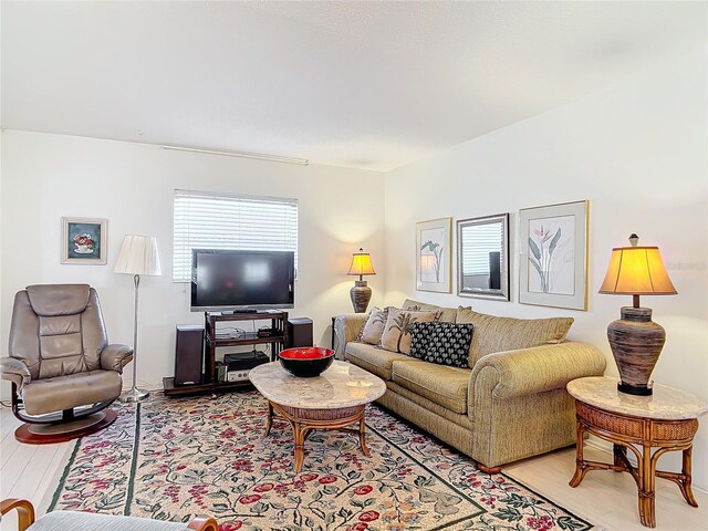 200 Park Blvd N Unit 103, Venice, FL 34285 - living room with light wood-style floors
