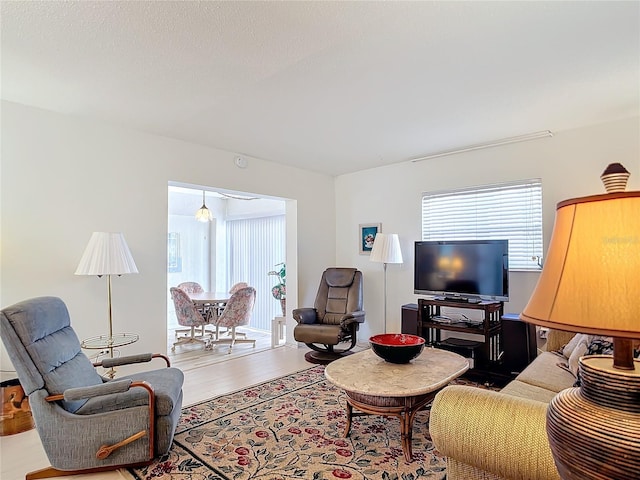 living room with hardwood / wood-style floors