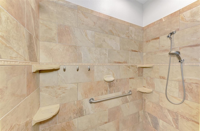 1219 Nantucket Rd, Venice, FL 34293 - bathroom view of tiled shower