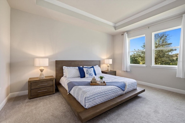 carpeted bedroom with a raised ceiling and ornamental molding