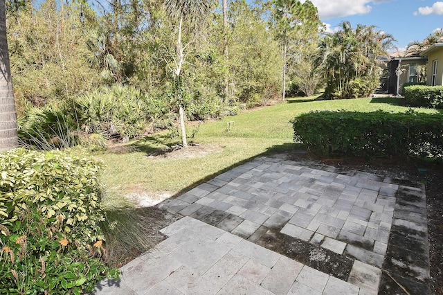 view of yard with a patio