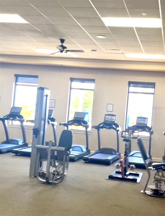 workout area featuring a paneled ceiling and ceiling fan