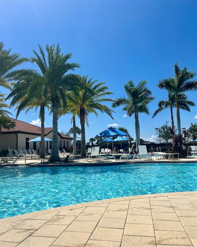 pool with a patio area