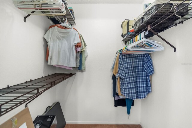 605 Apple Ln, Englewood, FL 34223 - view of walk in closet