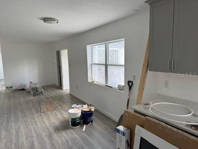 kitchen with hardwood / wood-style flooring and gray cabinetry