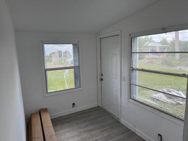 interior space with hardwood / wood-style flooring, plenty of natural light, and vaulted ceiling