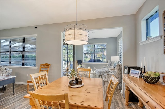 dining area with a healthy amount of sunlight and hardwood / wood-style flooring