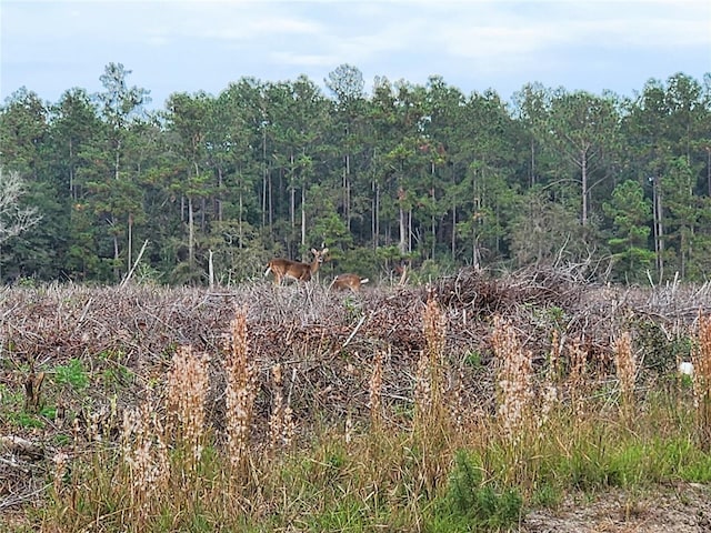 view of nature