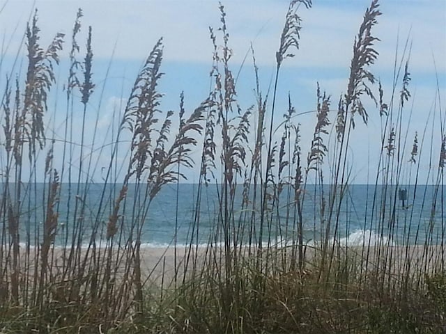 water view with a view of the beach