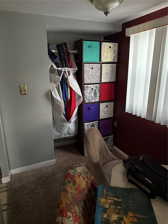 bedroom with carpet flooring