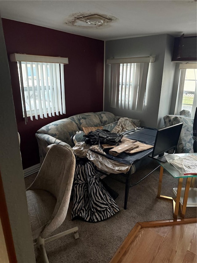 bedroom with hardwood / wood-style flooring