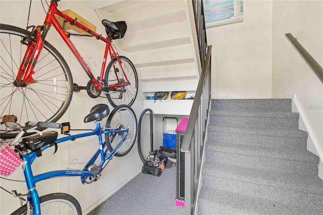 staircase featuring carpet floors