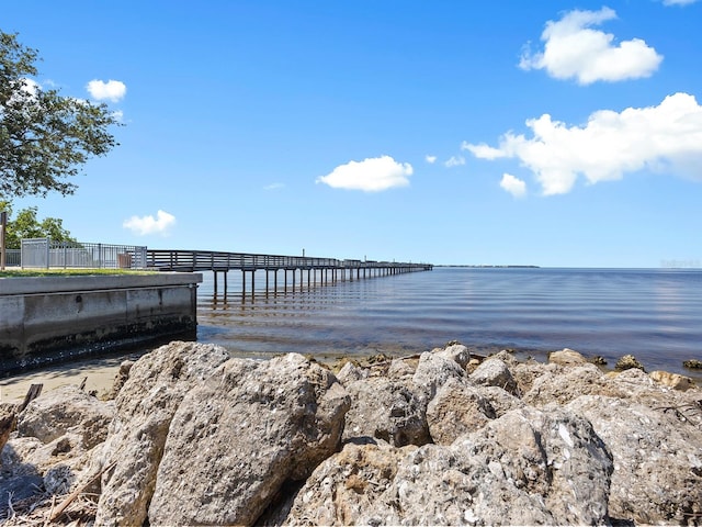 dock area with a water view