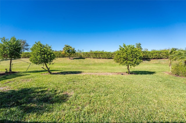 view of yard with a rural view