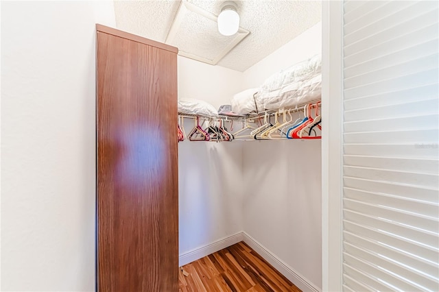 spacious closet featuring hardwood / wood-style floors