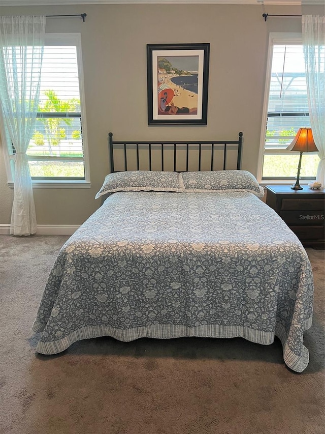 bedroom with carpet floors and multiple windows