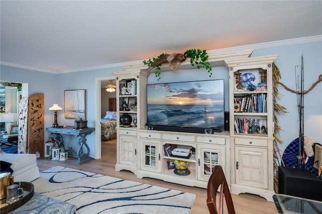 living room featuring ornamental molding and light hardwood / wood-style flooring